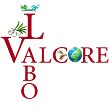 Logo 3
